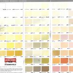 Thin Coat Silicone Render Colours