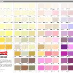 Silicone Render Colours