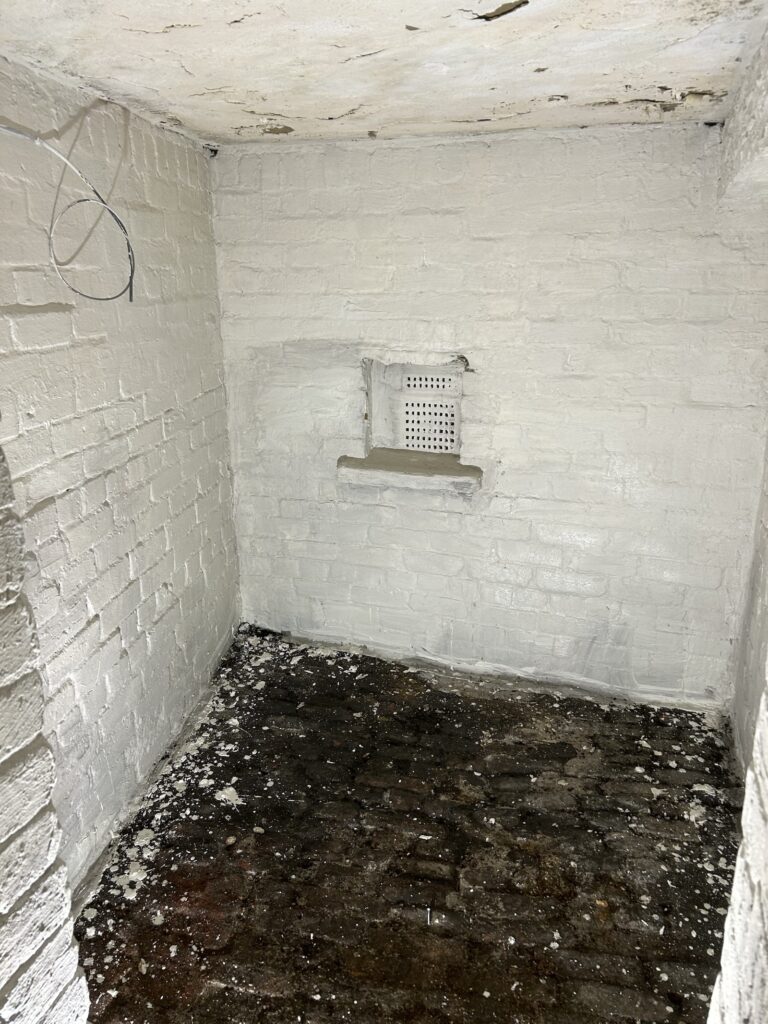Small brick-built cellar with specialist wall treatment applied by P3 Plastering.